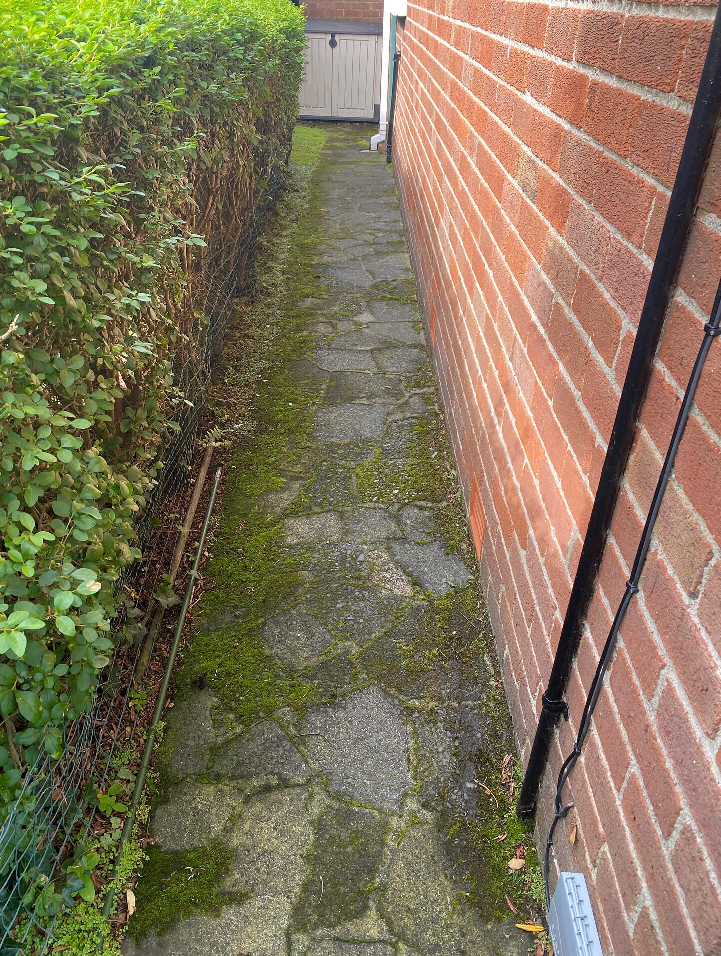 543315954_17851694697539684_2693366631108019314_n