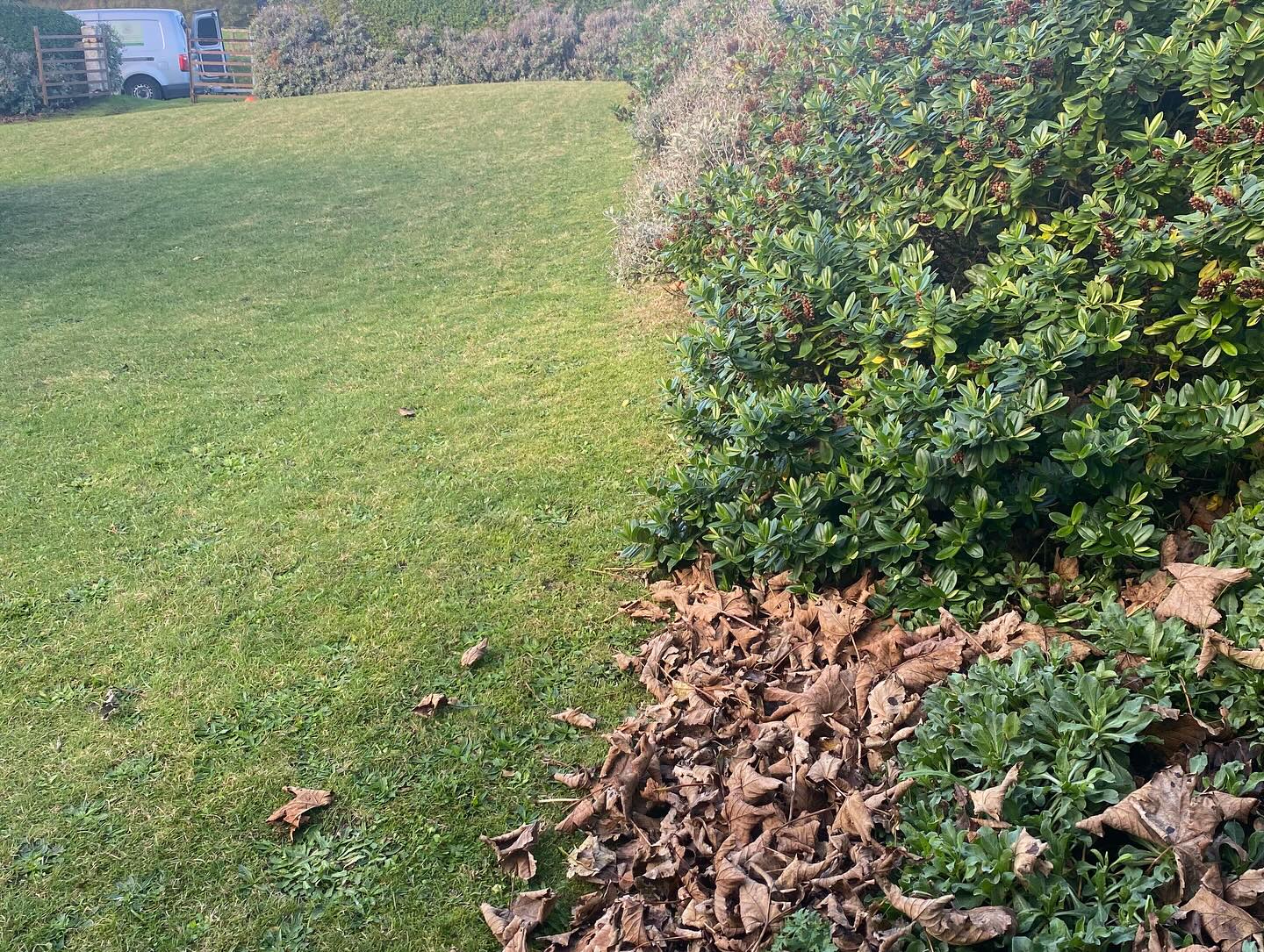 573657877_17858550843539684_7640699553920570339_n